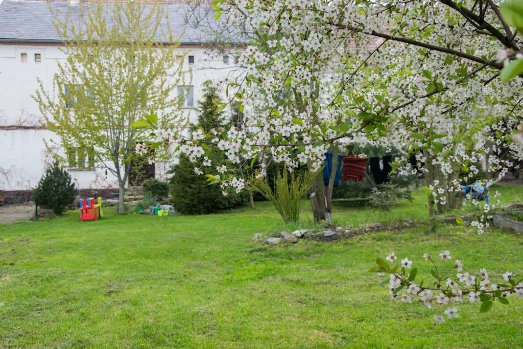 Gospodarstwo U Krakusa Doboszowice Exteriér fotografie