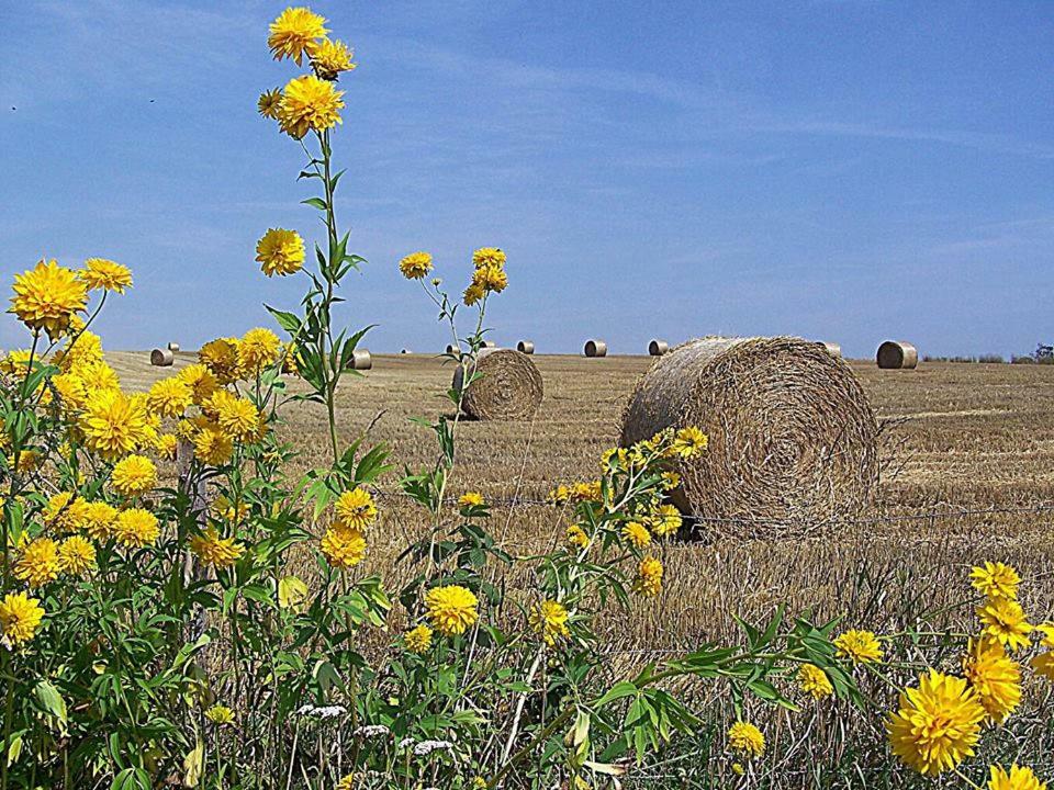 Gospodarstwo U Krakusa Doboszowice Exteriér fotografie