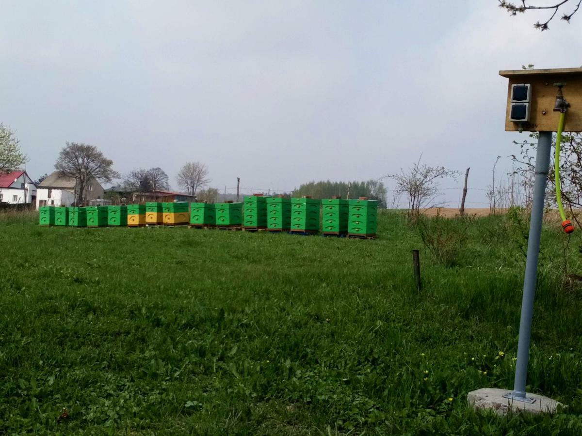 Gospodarstwo U Krakusa Doboszowice Exteriér fotografie